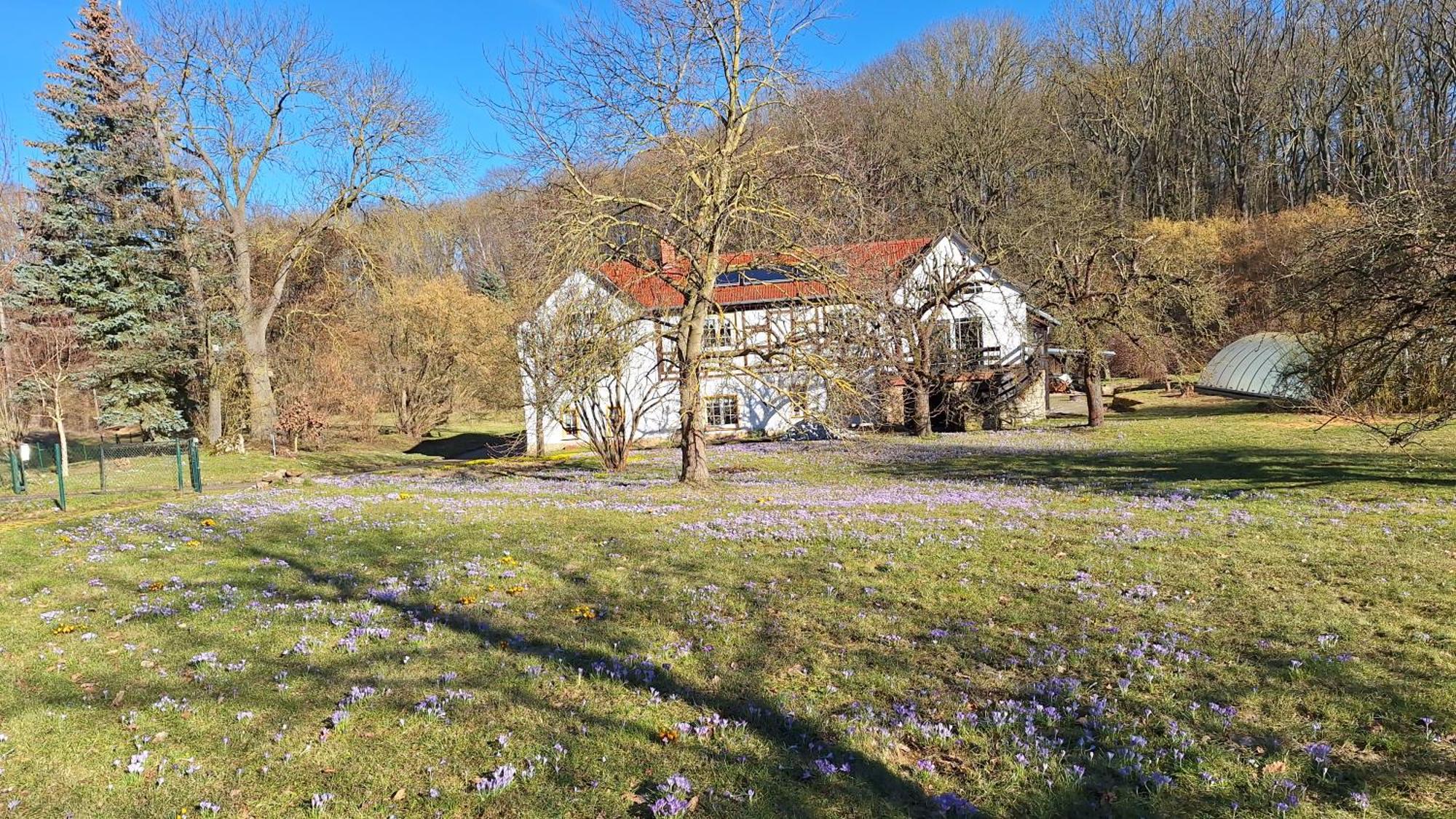 Ferienwohnung Obermuehle Ballstädt Camera foto